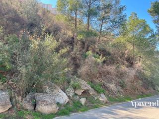 Finca rústica  Cant dels ocells. Gran oportunidad! gran parcela con vistas al mar en venta en ros