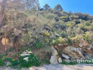 Finca rústica  Cant dels ocells. Rara oportunidad! gran parcela con vistas al mar en venta en ros