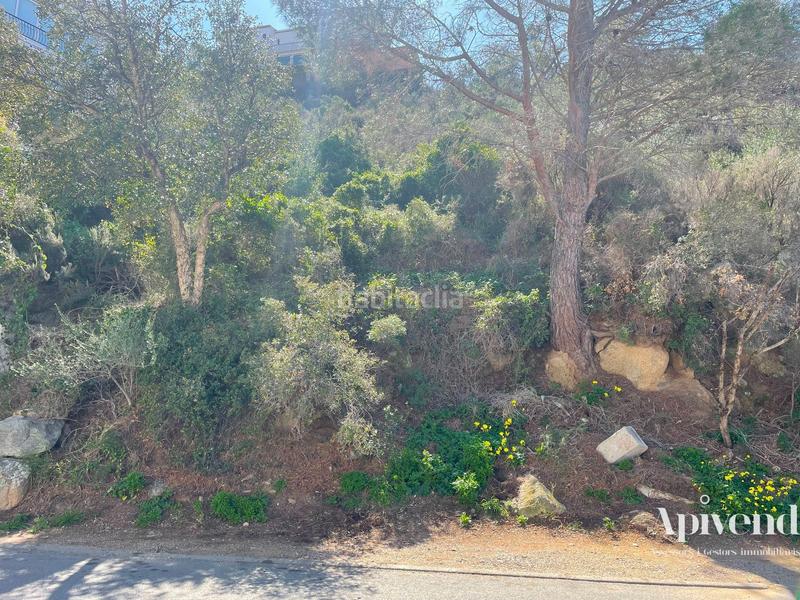 Foto a5816f7a-61d3-4ed6-a6fa-1c3e4221d14e. Propriété dans Puig Rom-Canyelles-Almadrava Roses