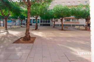 Business premise  Puig rom. En el centro de roses