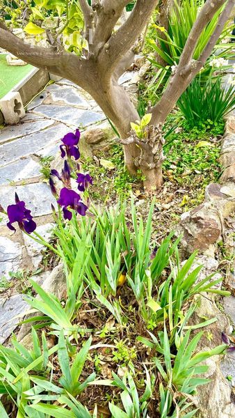 Foto 0f8954e2-36c8-4e71-ae83-6e0f6d530b5b. Casa amb calefacció aparcament a Nord Roses