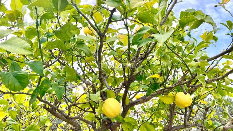 Foto a59f4e43-ee96-43a3-954d-082eee590400. Casa amb calefacció aparcament a Nord Roses