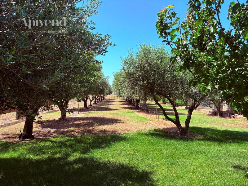 Foto a4388fdf-dbd6-4cda-91fb-5d35e82d2733. Haus mit heizung pool in Peralada