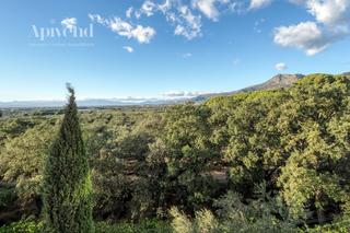 Appartement  Roma. Piso reformado en zona tranquila de mas oliva  roses