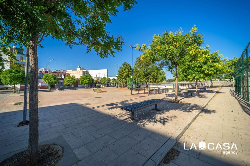 Foto 4939c4a2-7554-4d09-a43b-0b319104e4f6. Pis a Bellavista Sevilla