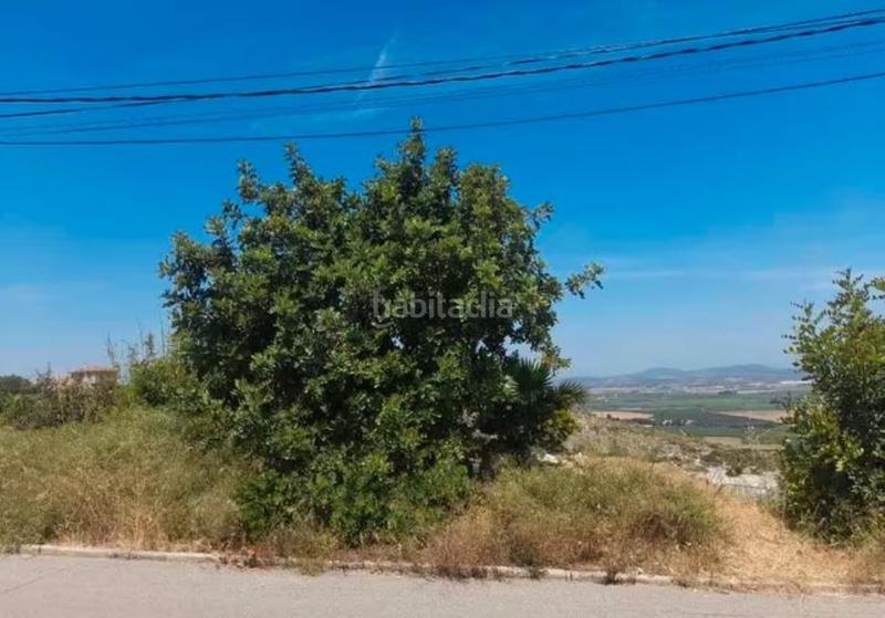 Foto 45ec5cc2-cd63-4404-9e51-8a4b6b1b7a90. Terreno residenziale in avenida del rio turia 1117a in Chiva