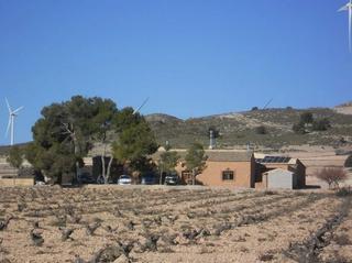 Masia a Jumilla. Se vende casona histórica y almazara en funcionamiento