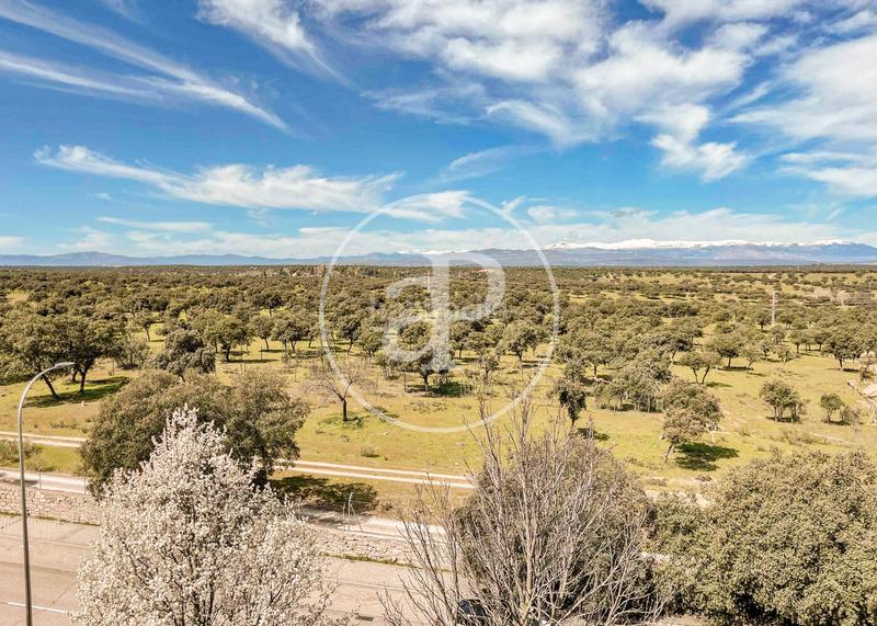 Foto cf68657a-dd2b-4cbc-a0d7-4a9bd94600bc. Dúplex  en venta en Valdemarín en Valdemarín Madrid