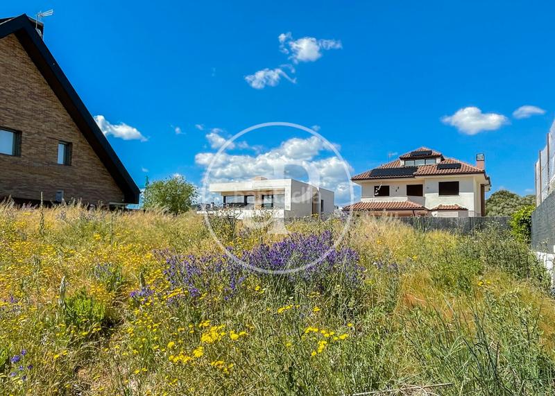 Foto 23ae7f0f-6a9a-4176-ada5-34ca630c8c2d. Terreno residenziale in Pueblo Pozuelo de Alarcón