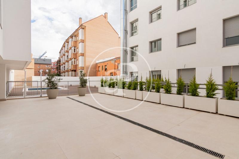 Foto 5c1f754c-8960-439d-be73-b20f3840b981. Alquiler piso  en alquiler en calle del panizo en Madrid