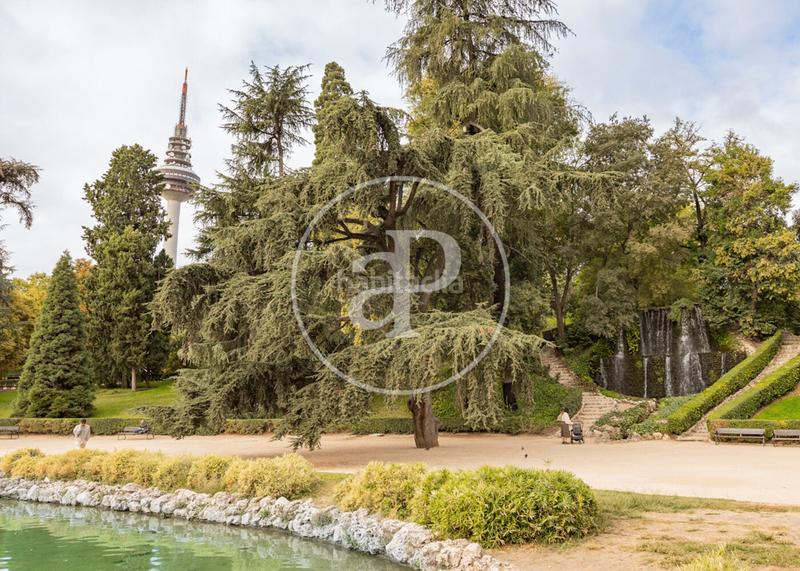 Foto 1d1c4a85-212c-40da-903b-0f11cd3ffcf1. Piso 129m<sup>2</sup> en calle de jorge juan 171 en Fuente del Berro Madrid