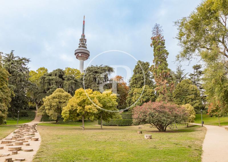 Foto 0b999937-0e62-4ee6-957a-ba0d42902989. Àtic 213m<sup>2</sup> a calle de jorge juan 171 a Fuente del Berro Madrid