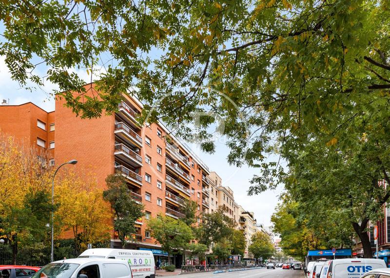 Foto 7a90f625-1633-42a2-a901-c28898dff1d3. Alquiler piso  en alquiler en calle general pardiñas en Madrid