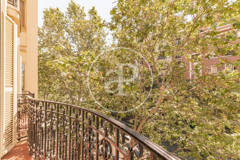 Foto b14c4b0c-9ae9-4774-ac20-4e615e3188cd. Alquiler piso  en alquiler en serrano en Castellana Madrid