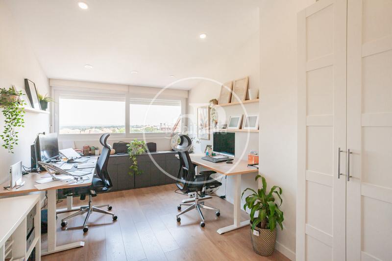 Foto 55507067-8c24-4396-ab59-f8e0d2bc31ec. Casa adosada chalet en venta en monte del pilar en Majadahonda