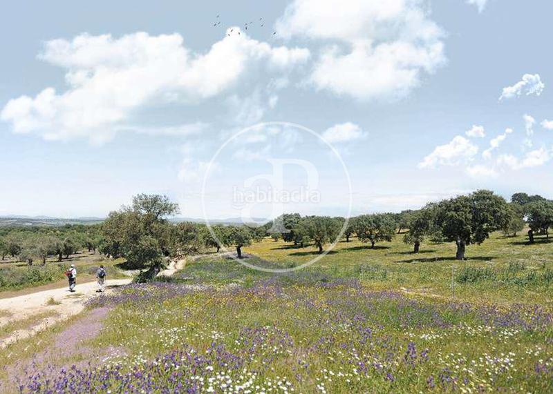 Foto dd0f90b5-644a-49f0-b083-76629d3eba02. Casa chalet en venta en monteprincipe en Urbanización Este-Montepríncipe Boadilla del Monte