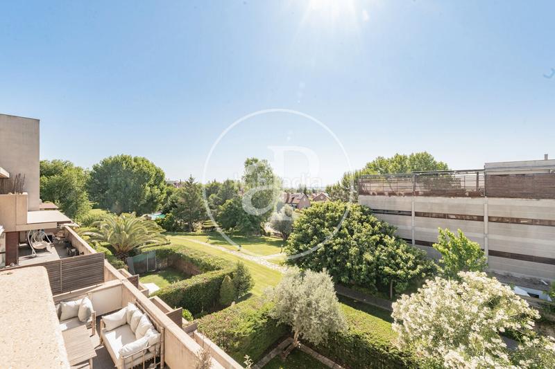 Foto cf305dee-f92d-4f38-8765-c89261555037. Dachwohnung mit heizung parking pool in Encinar de los Reyes La Moraleja