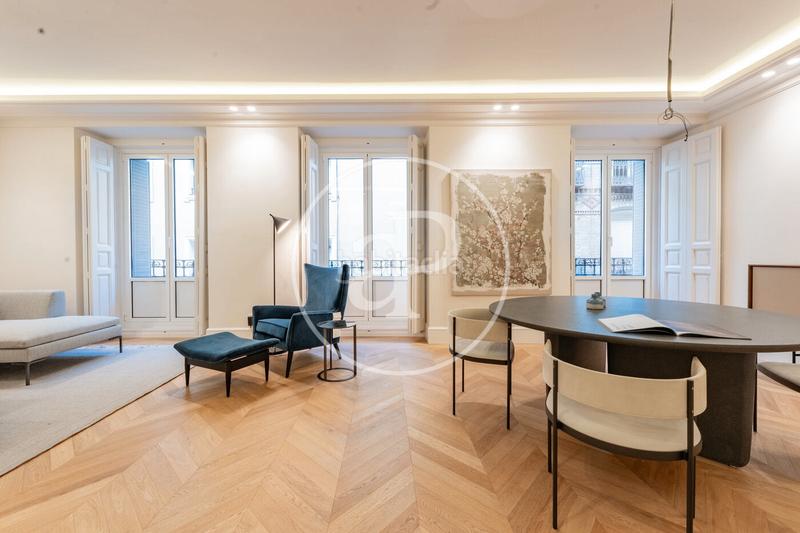 Foto 0c094835-8916-4858-bb54-2dae9e299263. Piso  en venta en el paseo del prado en Cortes-Huertas Madrid