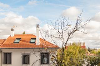 Flat  C. lanuza. Precioso piso reformado de 3 habitaciones