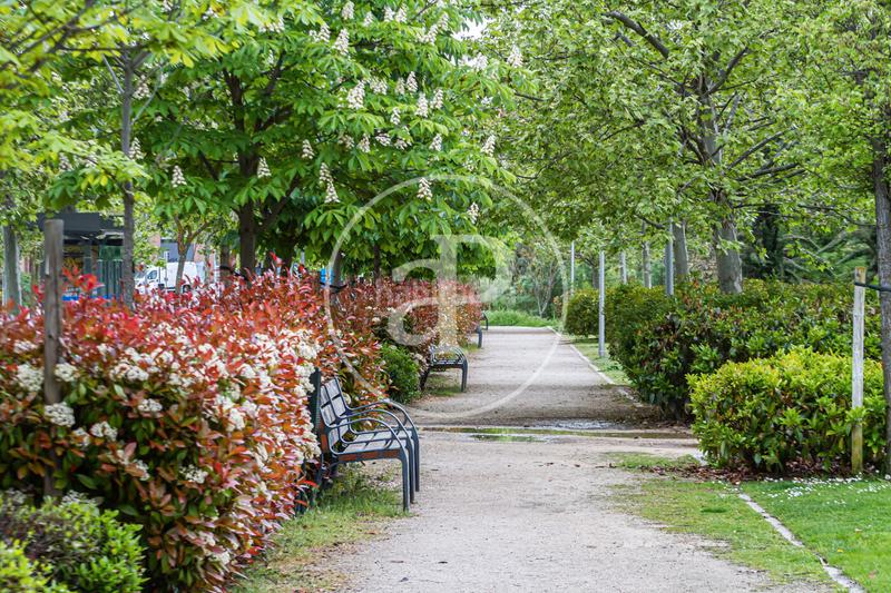 Foto 0fb241d4-3f85-42ce-81a1-3741f884ad5c. Pis amb calefacció aparcament piscina a Aravaca Madrid