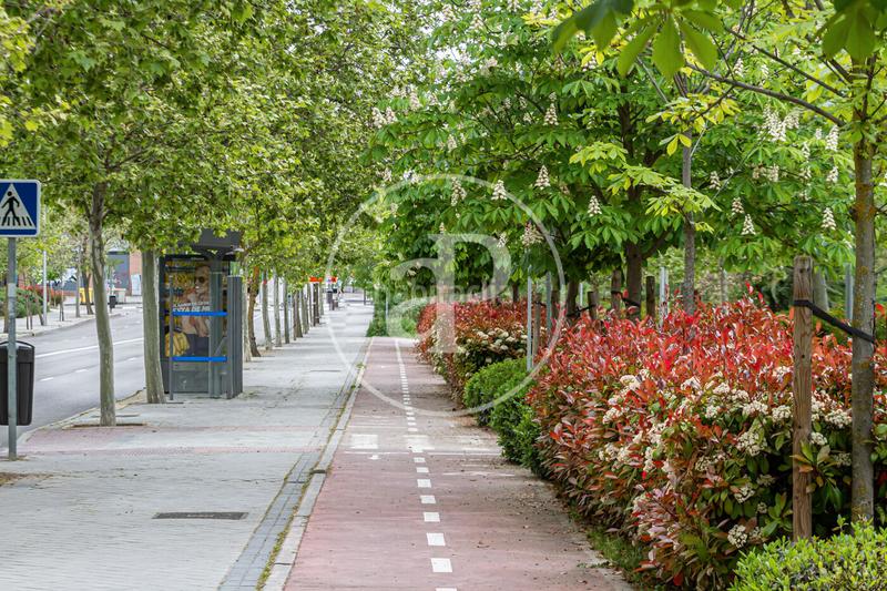 Foto f4fbf65e-c718-471b-a0d2-18b775a35cfa. Pis amb calefacció aparcament piscina a Aravaca Madrid