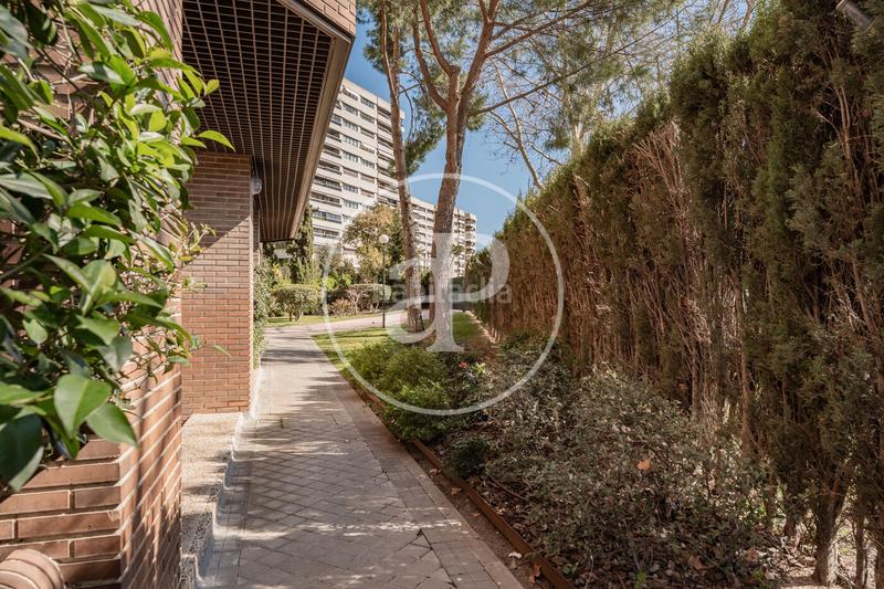 Foto fa5bc4a4-1899-43d9-ae20-246fe421436a. Alquiler piso vivienda en alquiler próximo a plaza castilla en Madrid