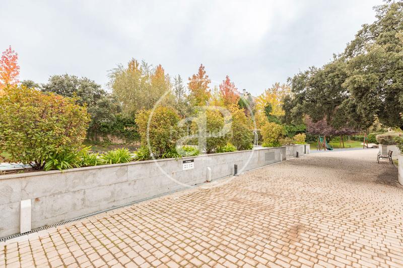 Foto 7712d8c8-9bc5-41ff-ba69-1f552f91056e. Alquiler piso  en alquiler en el Encinar de los Reyes en La Moraleja