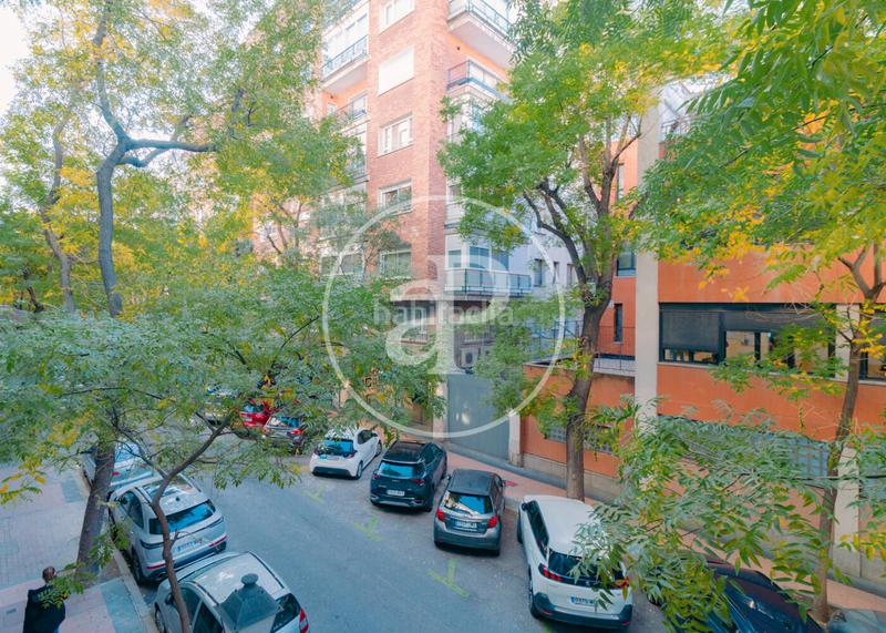 Foto 20267f95-fb8e-49a2-a620-67acf3eb1308. Alquiler piso  en alquiler en lagasca en Recoletos Madrid