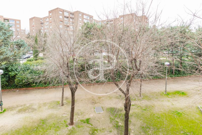 Piso en c. bergantín 7 piso en venta en Alameda de Osuna en Madrid - Imagen 36