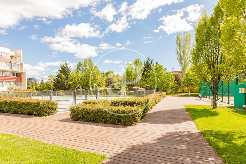 Foto 4d988e10-6ce0-4c9a-b964-6e4ac23f708a. Pis amb calefacció aparcament piscina a Virgen del Cortijo-Manoteras Madrid