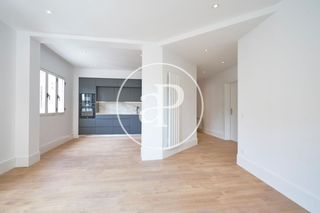 Flat in Gabriel Lobo