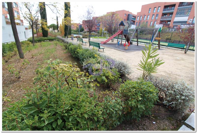 Foto eee2f7f9-3f1e-4757-b80e-6c442fe3b6ec. Piso  con estupenda situación y con zonas comunes en Paracuellos de Jarama