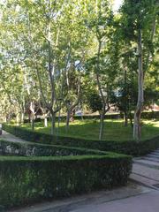 Local commercial à Norte-Universidad