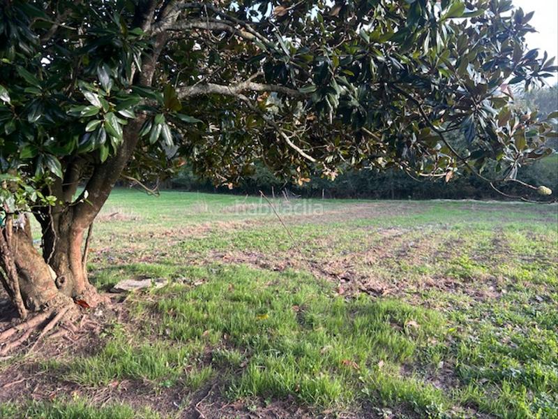 Foto 9e7aac3a-bc9e-4c6c-8e8e-ca8c9b2b835a. House in barrio solegrario 26 in Ribamontán al Monte