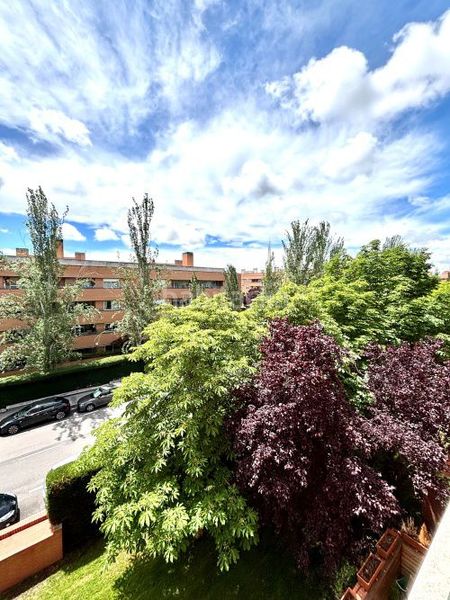 Foto 9902b775-8a77-4e19-bc16-74633a47eaa5. Rent flat with heating parking in Timón Madrid