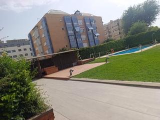 Pis  Velero