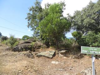 Terreny residencial en Camino de la central 9. Terreno en esquina en la ur. valdesanmartin, perfecto para tus e