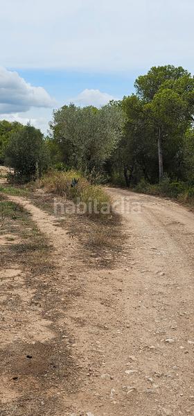 Foto 24c0bc9a-bad7-4e3a-95ad-19f1991055de. Finca rústica ?? finca rustica de regadio en Móra d´Ebre