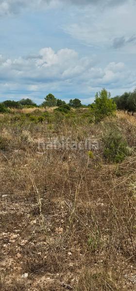 Foto 5a841873-dfb5-4f53-85e8-515195f193fa. Finca rústica ?? finca rustica de regadio en Móra d´Ebre