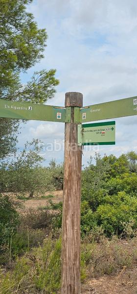 Foto 9aa8fe44-3d1b-49e8-8e08-57c511cd8a33. Finca rústica ?? finca rustica de regadio en Móra d´Ebre