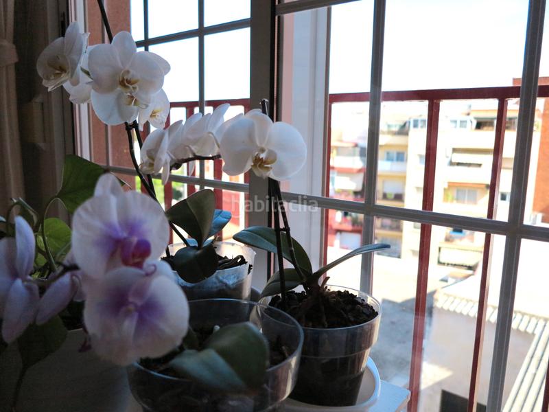 Foto 783e55c0-5983-4868-bea4-fd47780e392f. Appartamento con riscaldamento in La Plana Esplugues de Llobregat