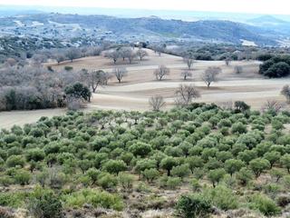 Terreno residenziale in Valdemorillo Pueblo