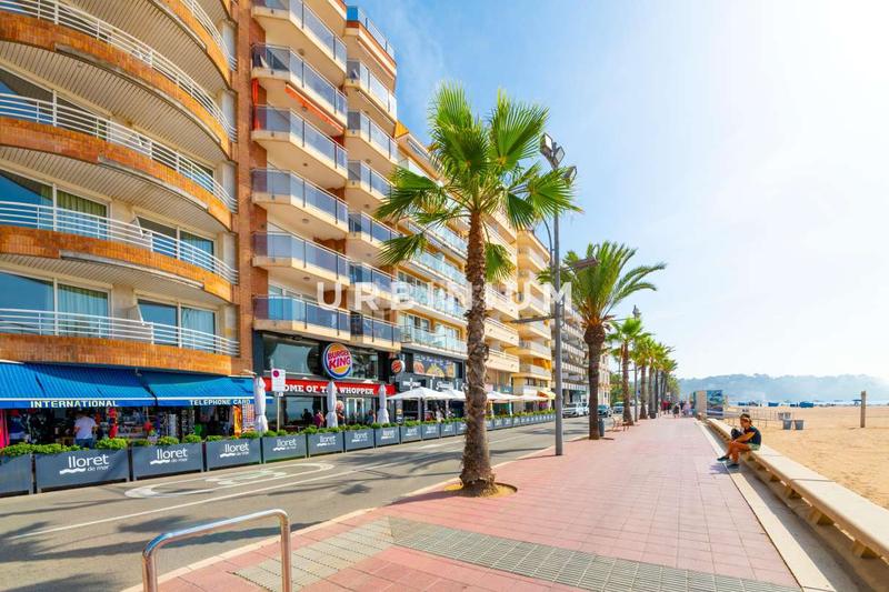 Foto 4e0731c2-f9a9-4b1e-bc67-6ee891e65640. Gebäude in Centre Lloret de Mar