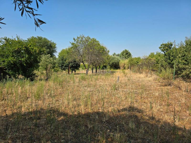 Foto 88749d1a-0fe8-4853-95cb-738c8e69ac20. Country house in Ribatejada