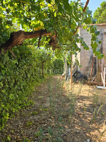 Foto fd310137-bbb3-4c26-a2a0-02360a683362. Masia a Ribatejada