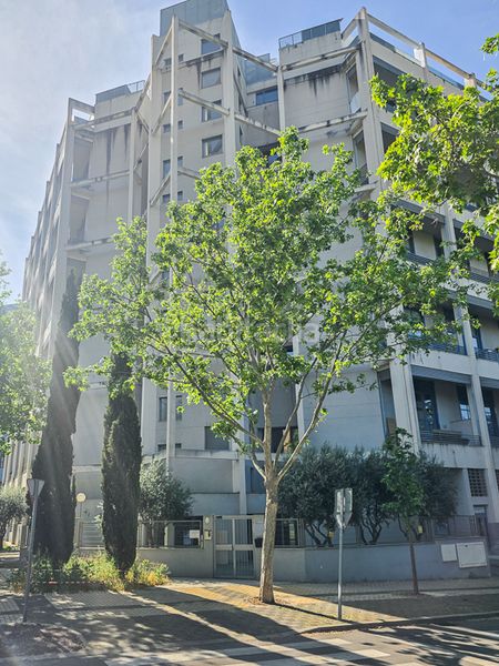 Foto cad15e27-08ce-4182-a747-c99d52b21106. Loft amb calefacció aparcament piscina a Vega de la Moraleja San Sebastián de los Reyes