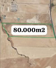 Finca rústica a Calle agustina de aragón 15. Finca 80.000 m2