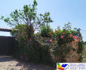 Chalet en Fuente el Saz de Jarama. Finca de 7000 m2 con casa de 475 m2