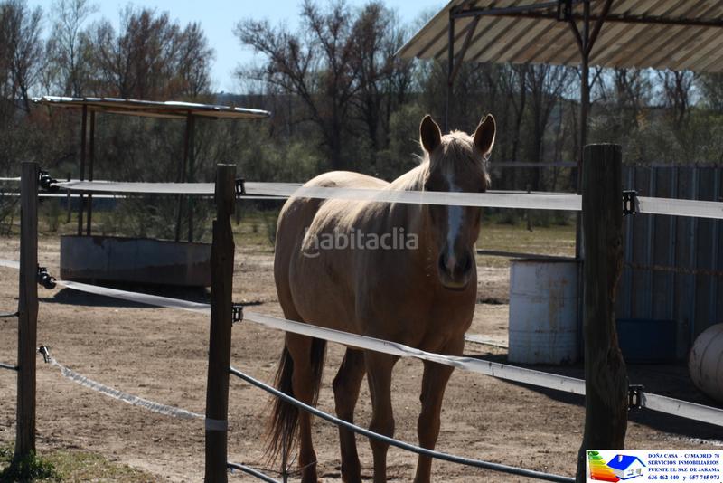 Foto 1c911266-f0a6-4aba-9b6b-b024efb4645b. Bauernhof in avenida Prado Norte 914 in Prado Norte Algete