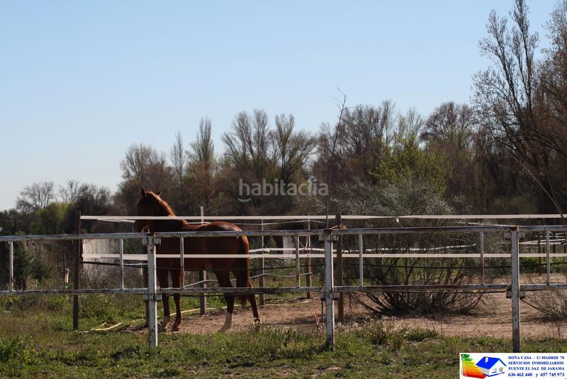 Foto 5185423a-0256-4cbe-aacd-f71a85c5c869. Bauernhof in avenida Prado Norte 914 in Prado Norte Algete